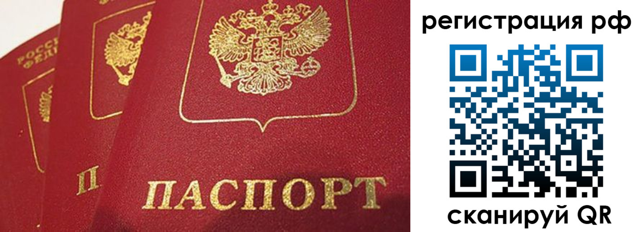 прописка в квартире в Благодарном